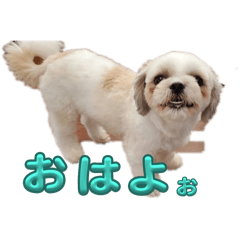 yoko_20250305221753