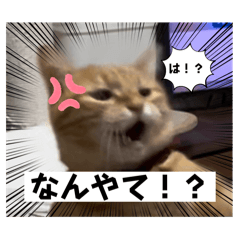 ran_20250305221503