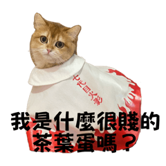 4CaTssss