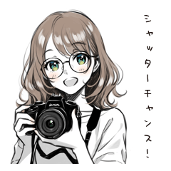 Strolling Photographer Stickers