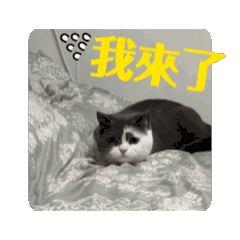 吃肉包長大