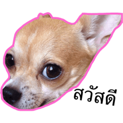 Mimi107