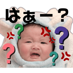 chihiro_20250306121319