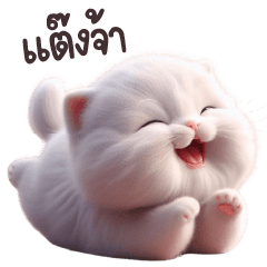 Meow White Cat Cute