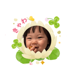 hana_20250306125138