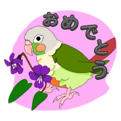 Moka_20250305210025
