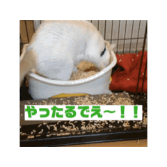 midori_20250306141843