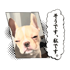 mika_20250306154400