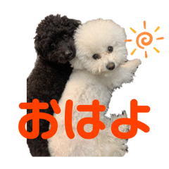 hana_20250306005133