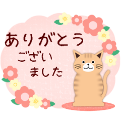 animation sticker cat 3-5