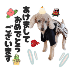 やまとイベントで大忙し！