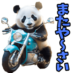 沖縄弁☆パンダ