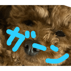 riho_20250306183523