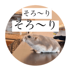 ham stamp part3