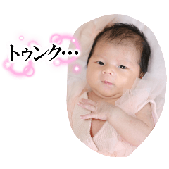 sakumaru_20250306151742