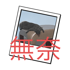 心肝松鼠小寶貝
