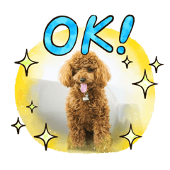 natsu_20250306173806