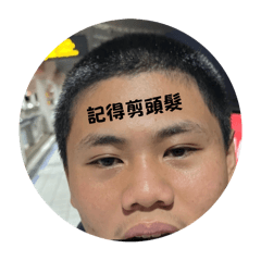 313133311333累累累
