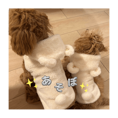 michan_20250306180149