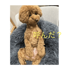 Haru san_20250306202452