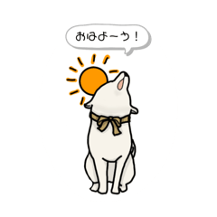 pon_20250306204249