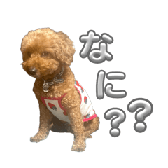 Natsumi_20250306204628