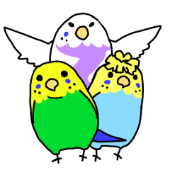 Sticker of 3 parakeets