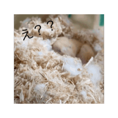 unauna_20250306214348