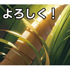 The world of Japanese bamboo shoots