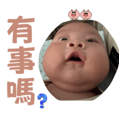 澔澔龍