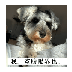 misaki_20250306143520