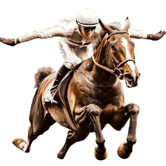 Racehorses and jockeys 1.1