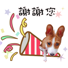 我是Telly愛調皮