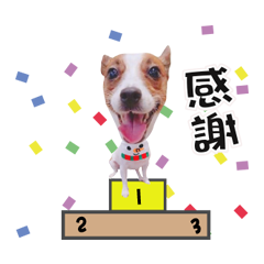 Tenny 小乖乖的日常1