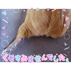 mokumoku_20250306155708