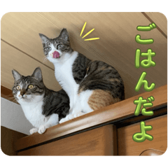 yurika_20250306184846