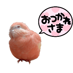 ruru stanp1