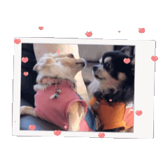 junko_20250307005108
