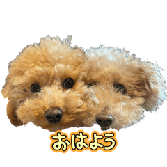 yuka_20250307000151