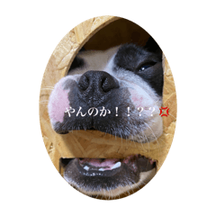 aa_20250306163745