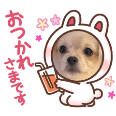 Riko_20250306170933