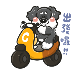 Cookie雪納瑞汪星人第二彈
