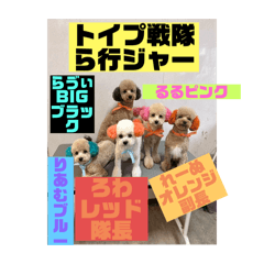 kj_20250306224800