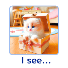 Tiny Ragdoll Wonders 2:English