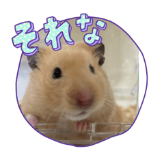 CHIHIRO_20250307113806