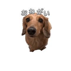 Yuka_20250307094301