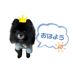 yumi_20250307093358