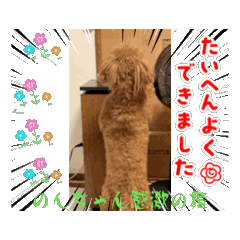 ethan_20250307114011