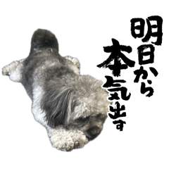 akachin_20250306200511