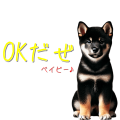 Shiba Inu's Feelings a